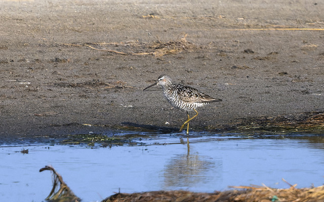 August sightings roundup