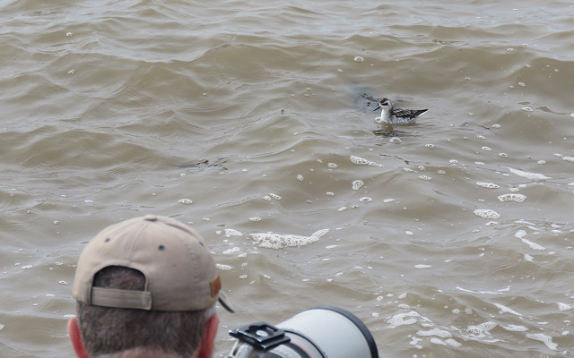 Capturing a MigFest Moment