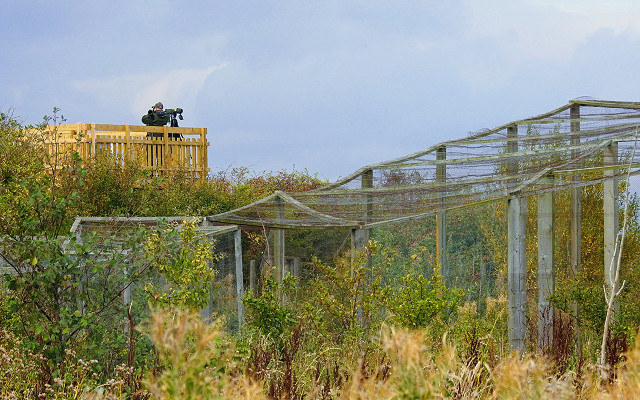 SPURN BIRD OBSERVATORY AND ENGLAND’S COVID-19 RESPONSE APRIL 2021