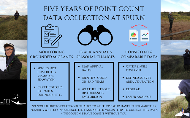 Five Years of Point Count Data Collection at Spurn