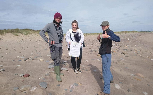 Little Tern success at Beacon Ponds in 2019