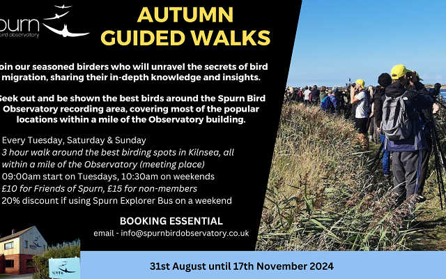 Autumn Guided Walks