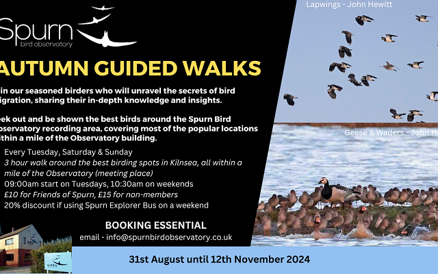 Autumn Guided Walks