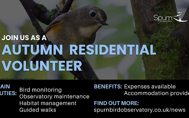 RESIDENTIAL AUTUMN VOLUNTEERS - WE WANT YOU!