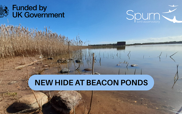 New Viewing Hide Opens at Beacon Ponds