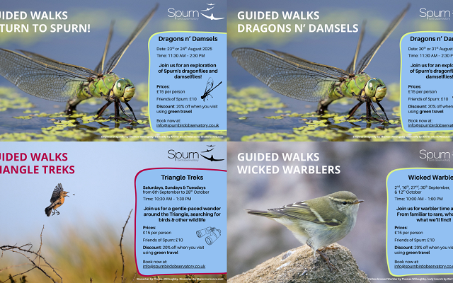 AUTUMN GUIDED WALKS