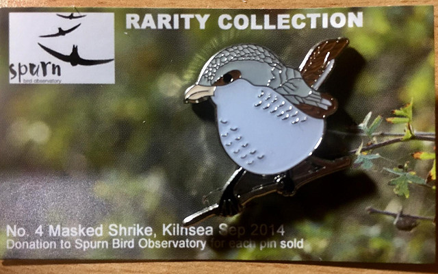 Masked Shrike Pin Badge