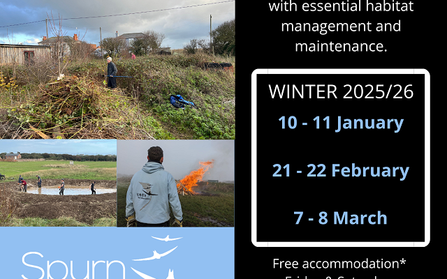 Winter Work Parties – cold weather, warm fuzzy feeling inside