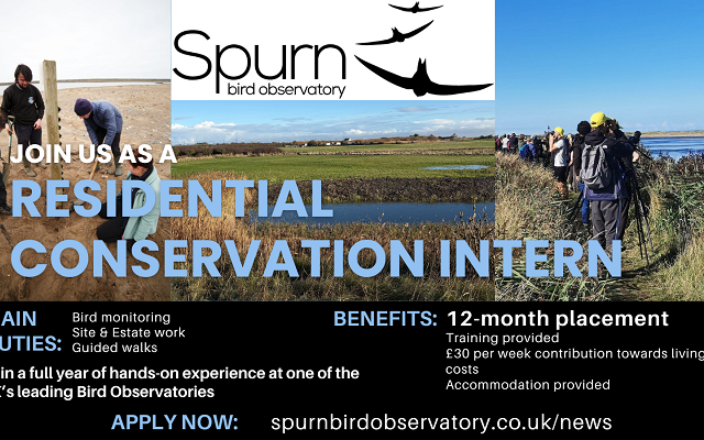 Conservation Intern (12-month placement)