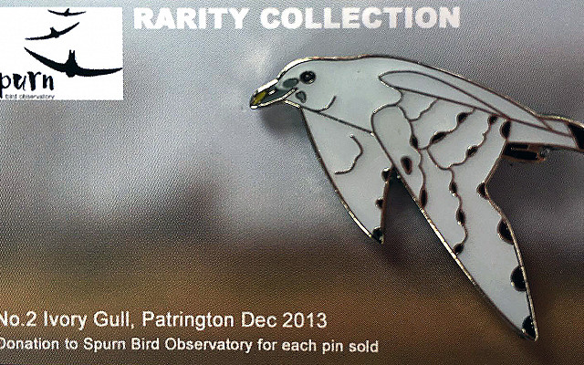 Ivory Gull pin badges