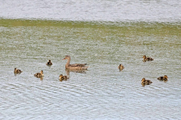 Latest sightings