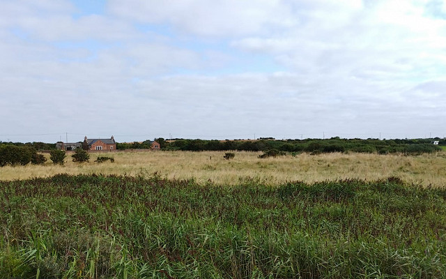 The ‘Cliff Farm fields’ are now officially Spurn Bird Observatory land.