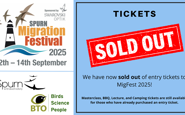 MigFest 2025 – SOLD OUT!