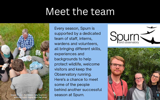 Meet the Team: Summer 2026