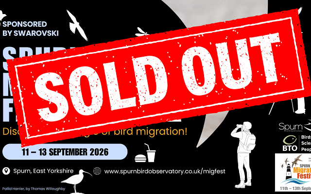 Migfest 2026 Weekend Tickets Sold Out