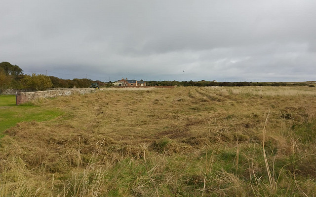 HiDef support conservation at Spurn Bird Observatory