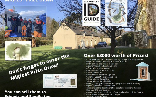 Migfest 2025 Prize Draw – Over £3,500 Worth of Prizes to Be Won!