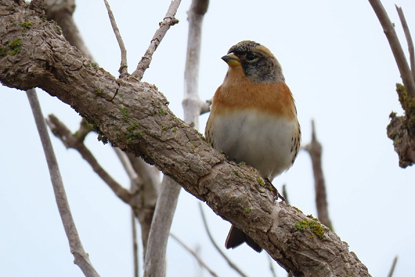 Bird sightings Wednesday, 23 September 2026