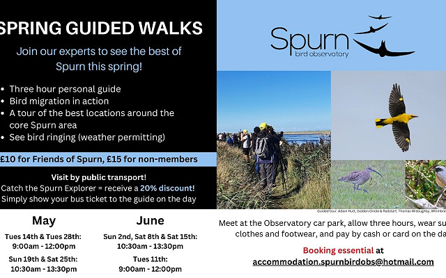SPRING GUIDED WALKS