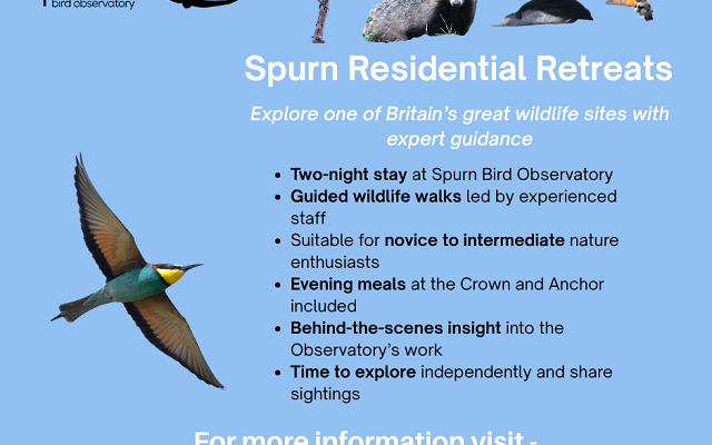 Spurn Residential Retreats 2026