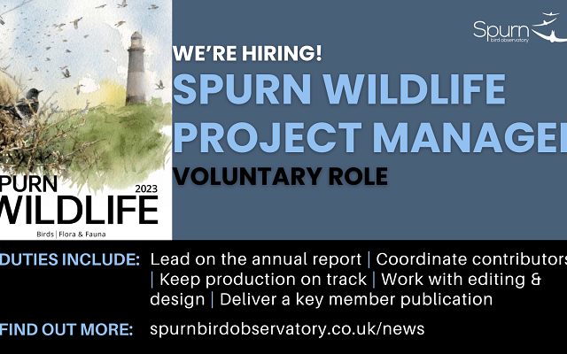 Spurn Wildlife Project Manager (Voluntary Role)