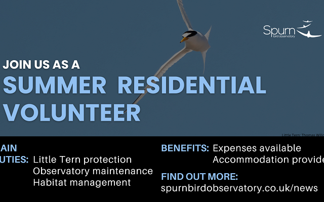 We're recruiting 3 summer residential volunteers