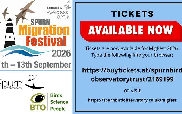 Migfest 2026 Tickets Now on Sale