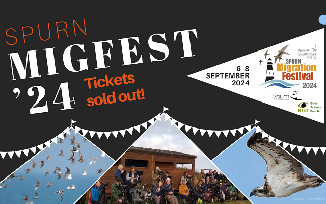 Migfest Tickets Almost Gone: Last Chance to Secure Your Place