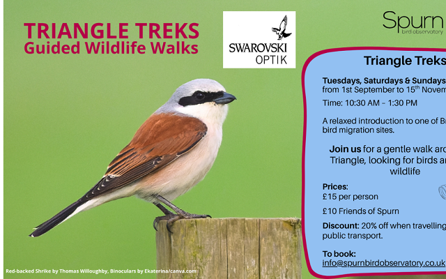 Triangle Treks – Guided Wildlife Walks at Spurn