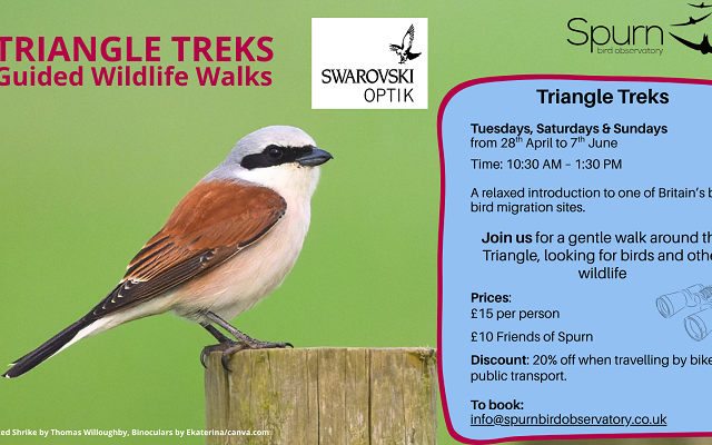 Spring Guided Walks
