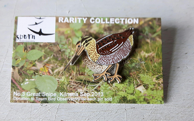 Spurn Rarities pin badges: Great Snipe