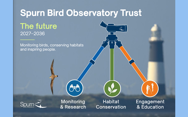 Help Shape the Next Ten Years of  Spurn Bird Observatory Trust