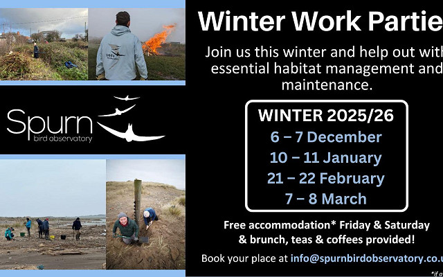 Join Our Winter Volunteer Work Parties – Accommodation & Brunch Included!