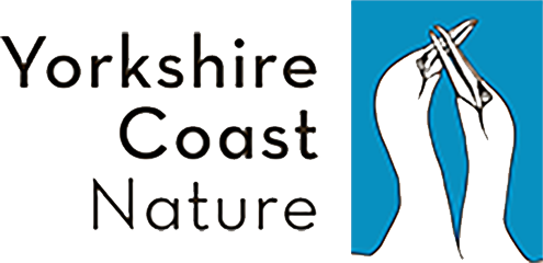 https://www.yorkshirecoastnature.co.uk/