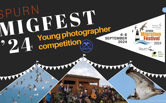 Moments at Migfest; captured by young photographers