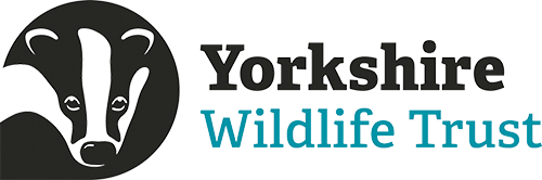 Yorkshire Wildlife Trust